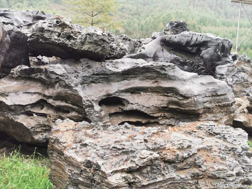 风景石、假山石大量有货，有需要的欢迎联系 - 新手上路 - 怀化生活社区 - 怀化28生活网 hh.28life.net