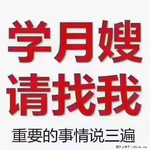 为什么要学习月嫂，育婴师？ - 新手上路 - 怀化生活社区 - 怀化28生活网 hh.28life.net