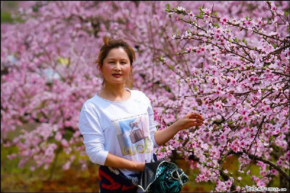【春天，广西桂林灌阳县向您发出邀请！】官庄村有个醉美的桃花园 - 游山玩水 - 怀化生活社区 - 怀化28生活网 hh.28life.net