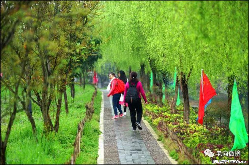 【春天，广西桂林灌阳县向您发出邀请！】江口老街又逢春 - 游山玩水 - 怀化生活社区 - 怀化28生活网 hh.28life.net