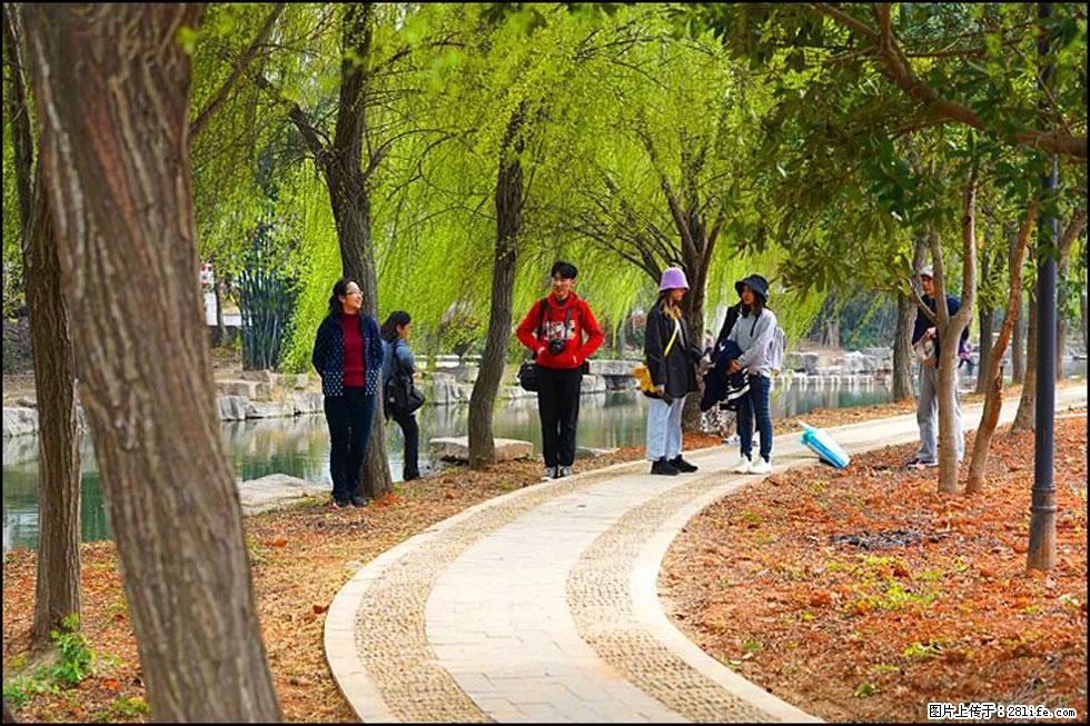 【春天，广西桂林灌阳县向您发出邀请！】江口老街又逢春 - 游山玩水 - 怀化生活社区 - 怀化28生活网 hh.28life.net