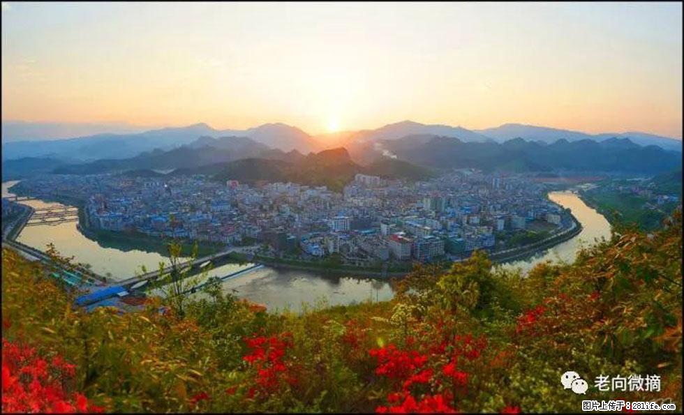 【春天，广西桂林灌阳县向您发出邀请！】登麒麟山，相约映山红 - 游山玩水 - 怀化生活社区 - 怀化28生活网 hh.28life.net
