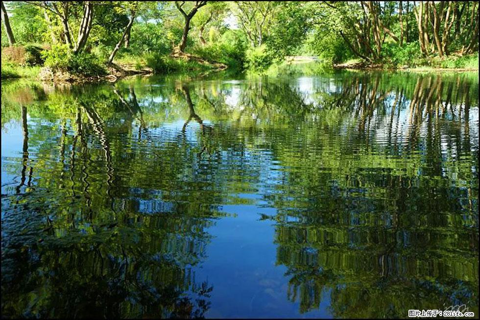 【春天，广西桂林灌阳县向您发出邀请！】熊家寨湿地公园 - 游山玩水 - 怀化生活社区 - 怀化28生活网 hh.28life.net