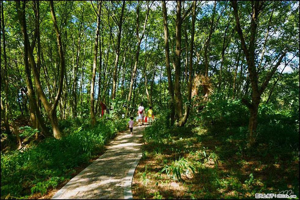 【春天，广西桂林灌阳县向您发出邀请！】熊家寨湿地公园 - 游山玩水 - 怀化生活社区 - 怀化28生活网 hh.28life.net