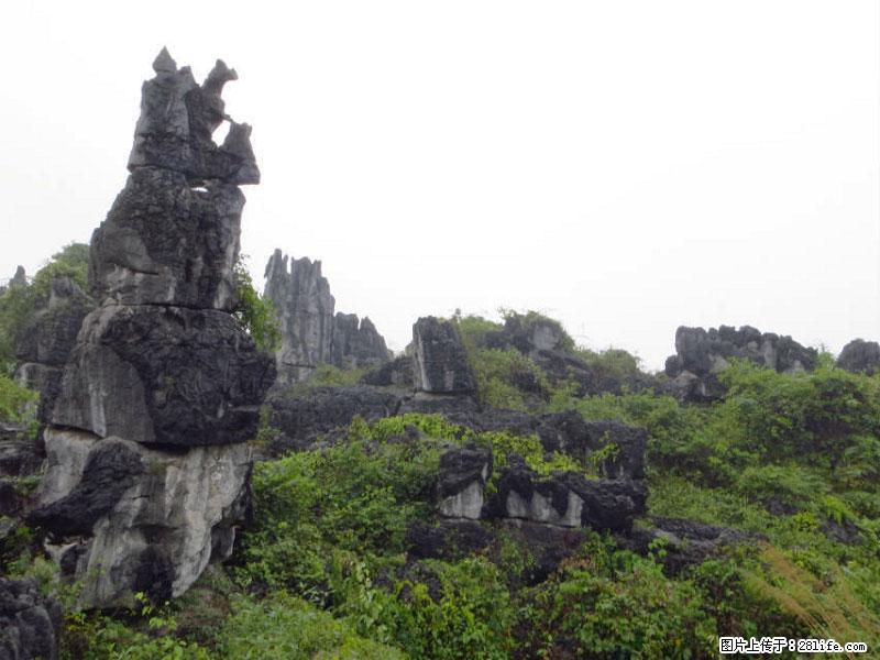 桂林旅游名城景点：灌阳文市石林 - 游山玩水 - 怀化生活社区 - 怀化28生活网 hh.28life.net