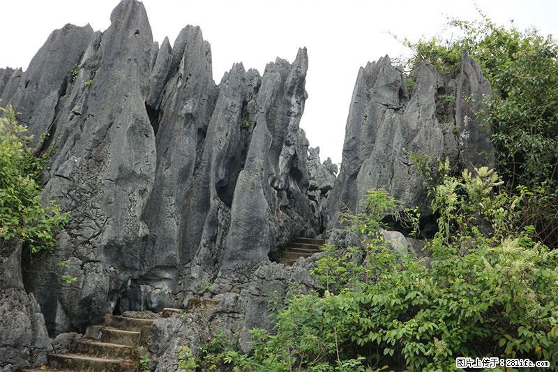 桂林旅游名城景点：灌阳文市石林 - 游山玩水 - 怀化生活社区 - 怀化28生活网 hh.28life.net