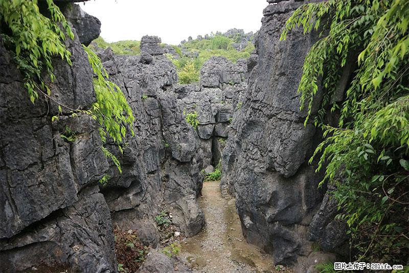 桂林旅游名城景点：灌阳文市石林 - 游山玩水 - 怀化生活社区 - 怀化28生活网 hh.28life.net