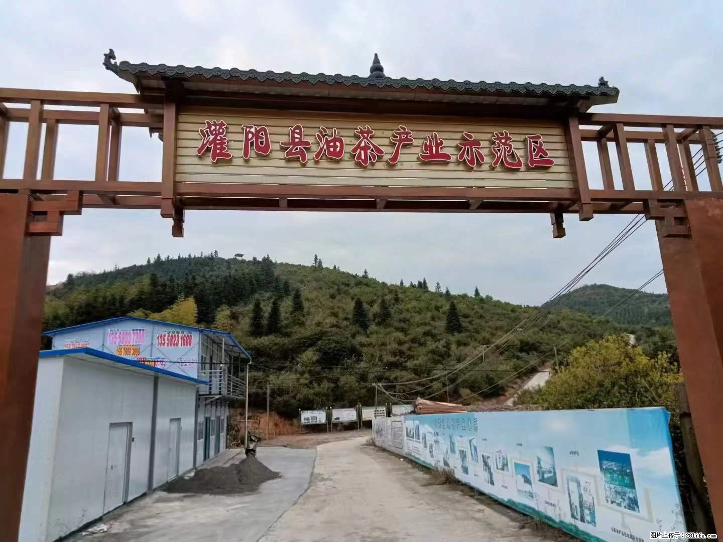 【灌阳县油茶产业示范区】一个有着充实的精神生活的人,对待身外之物自会有一种淡泊的态度 - 美食天地 - 怀化生活社区 - 怀化28生活网 hh.28life.net