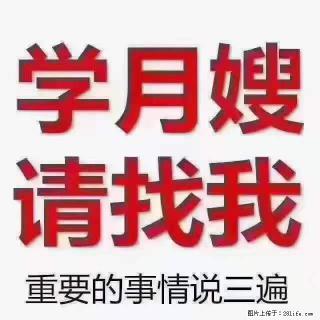 为什么要学习月嫂，育婴师？ - 怀化28生活网 hh.28life.net