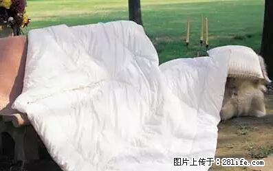 被子有异味？只要这样做，比晒太阳还强100倍！ - 家居生活 - 怀化生活社区 - 怀化28生活网 hh.28life.net