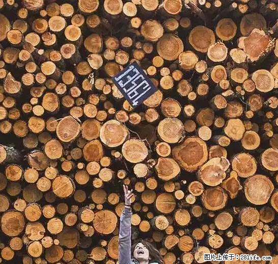 辞掉工作周游世界？现在他们在洗厕所…… - 游山玩水 - 怀化生活社区 - 怀化28生活网 hh.28life.net