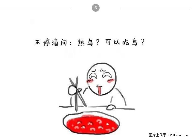 千万不要和这9种哈卵一起吃火锅！ - 美食天地 - 怀化生活社区 - 怀化28生活网 hh.28life.net