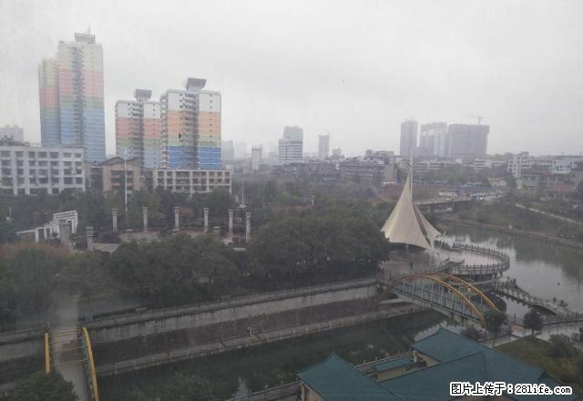 香洲广场旁天龙御园,宏宇三中学校,精装4房,看房随时 - 房屋出租 - 房屋租售 - 怀化分类信息 - 怀化28生活网 hh.28life.net