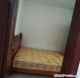 城东市场附近的好房子，精装3房2厅2卫，拎包入住哦，，， - 怀化28生活网 hh.28life.net