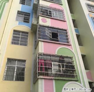 鹤城市幼儿园家属区好房出租，免费停车，免物业管理 - 怀化28生活网 hh.28life.net