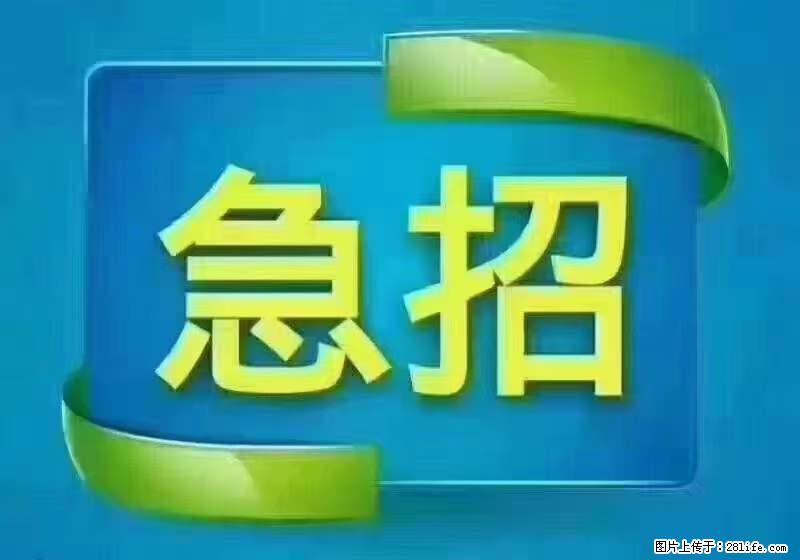 招出纳8000元/月，无证可以，要有相关经验，上海五险一金，包住，包工作餐，做六休一。 - 职场交流 - 怀化生活社区 - 怀化28生活网 hh.28life.net