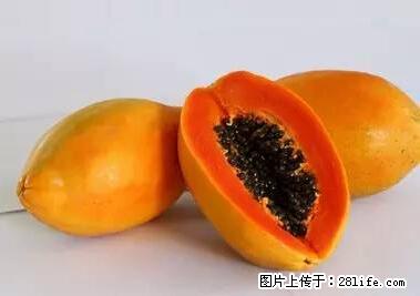 晕车、脚气、牙齿变黄、皮肤粗糙？学会这些三分钟搞定！ - 怀化生活资讯 - 怀化28生活网 hh.28life.net