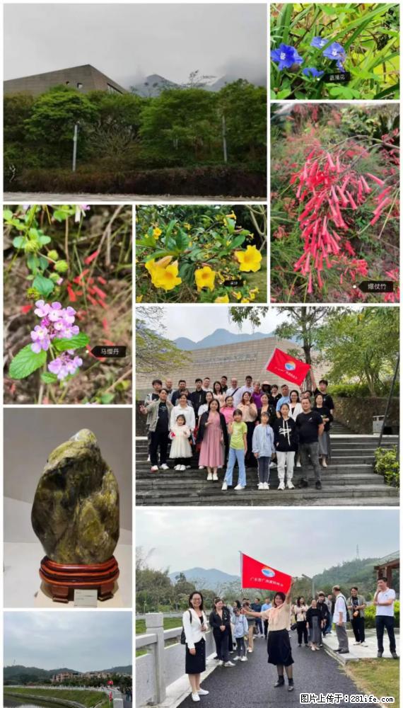 “粤灌文化 美好生活”油茶文化主题活动在广东深圳成功举办 - 怀化生活资讯 - 怀化28生活网 hh.28life.net