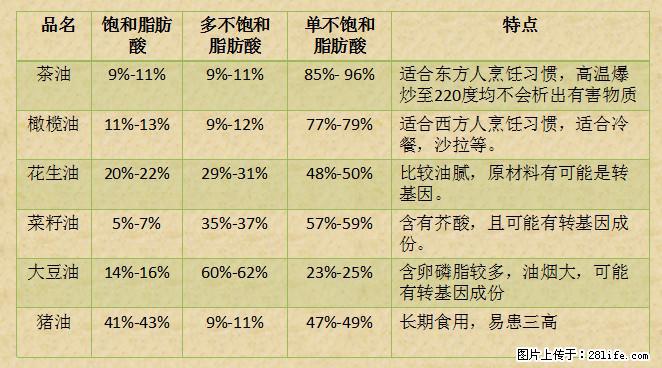 揭秘茶油的5大核心营养成分！被称为人体健康的“守护盾”！ - 怀化生活资讯 - 怀化28生活网 hh.28life.net