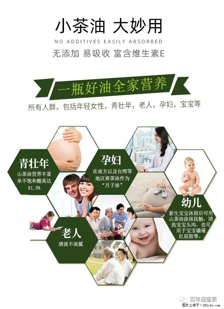 世界没有真相，只有认知，最好的食用油是中国的山茶油！ - 怀化生活资讯 - 怀化28生活网 hh.28life.net