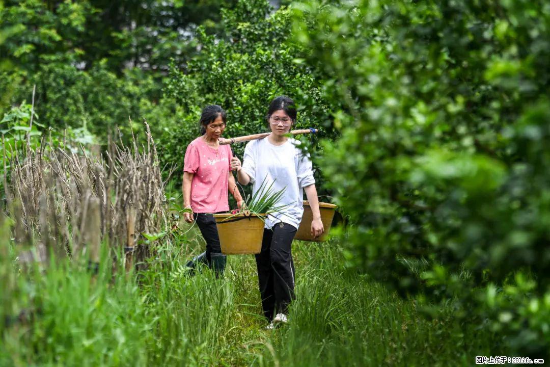 全网追的“扁担女孩”，找了一份暑假工，时薪12元 - 怀化生活资讯 - 怀化28生活网 hh.28life.net
