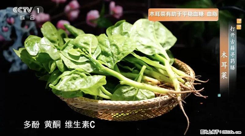 比牛奶补钙还厉害！凉血解毒、稳血糖...这菜冬天必吃，很多人却当草 - 怀化生活资讯 - 怀化28生活网 hh.28life.net
