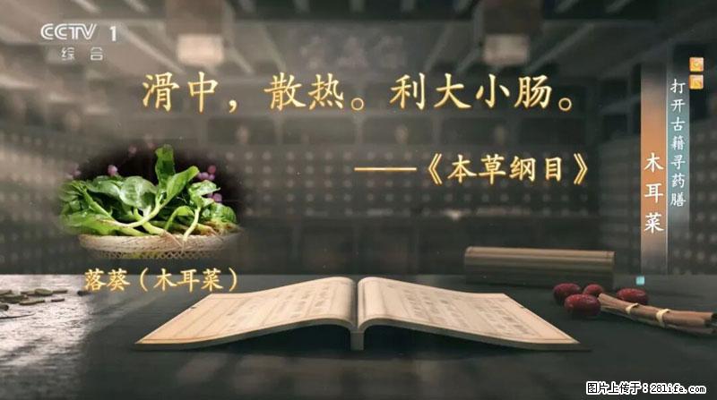 比牛奶补钙还厉害！凉血解毒、稳血糖...这菜冬天必吃，很多人却当草 - 怀化生活资讯 - 怀化28生活网 hh.28life.net