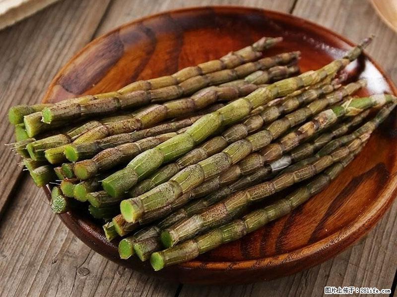 铁皮石斛的作用与功能主治 - 怀化生活资讯 - 怀化28生活网 hh.28life.net